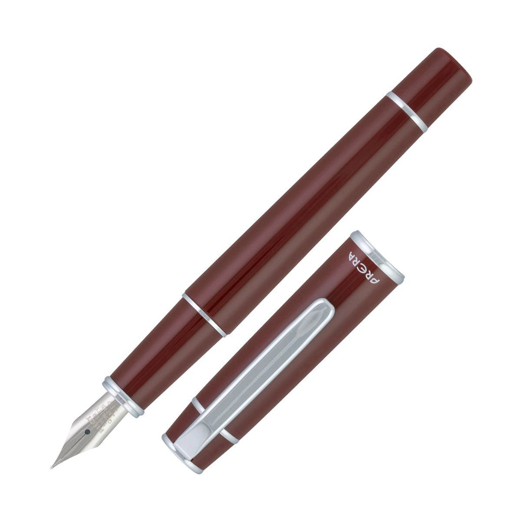 Brown fountain pen with silver accents on a white background