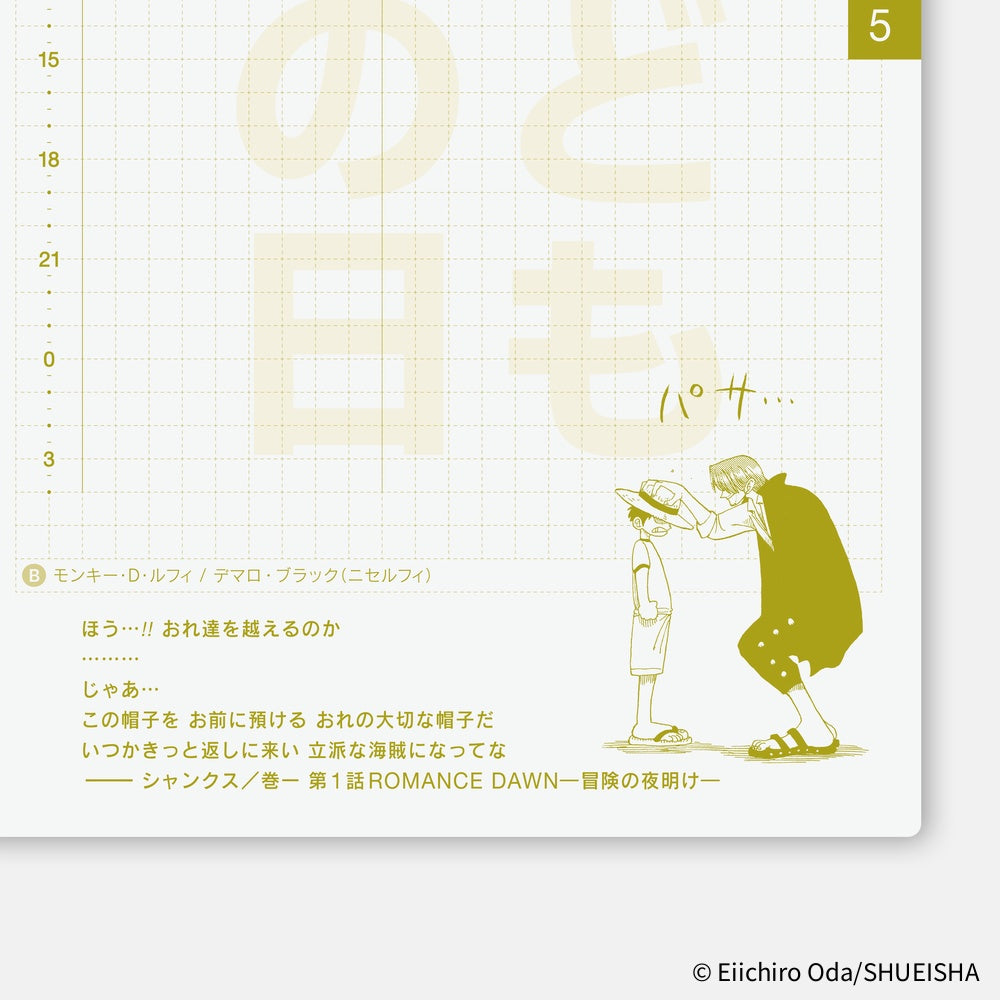 Hobonichi Techo 2026 Original Book, A6 - ONE PIECE: Jan/Mon Start (Japanese)