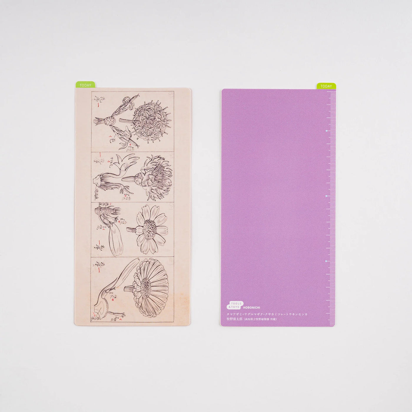 Tablero de lápices Hobonichi, semanas - Ilustraciones botánicas de Tomitaro Makino