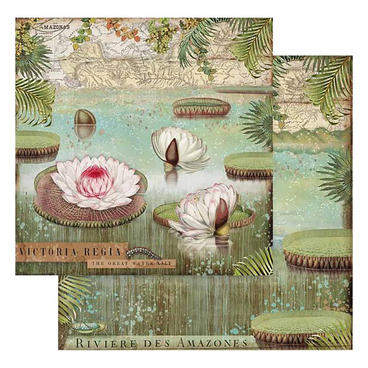 Stamperia Scrapbook Paper Sheet, 12x12 - Water Lily, Amazonia