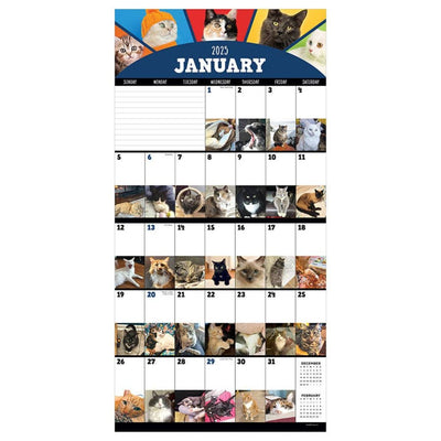 2025 Cat-A-Day Wall Calendar