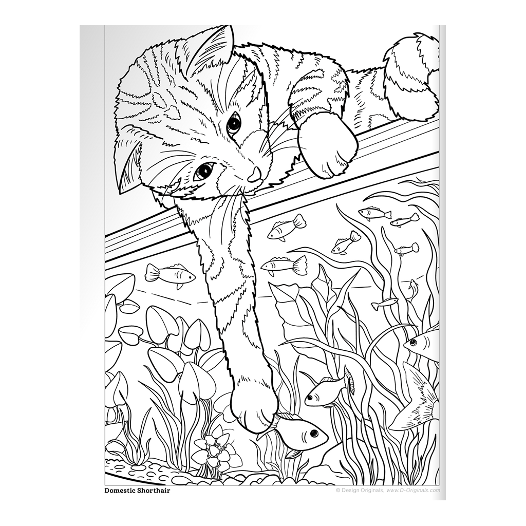 Cats & Kittens Coloring Book