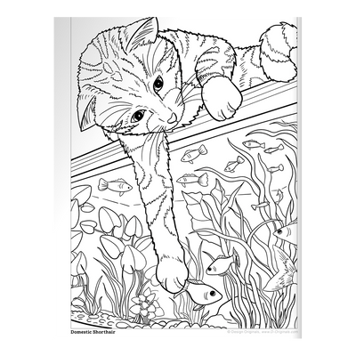 Cats & Kittens Coloring Book