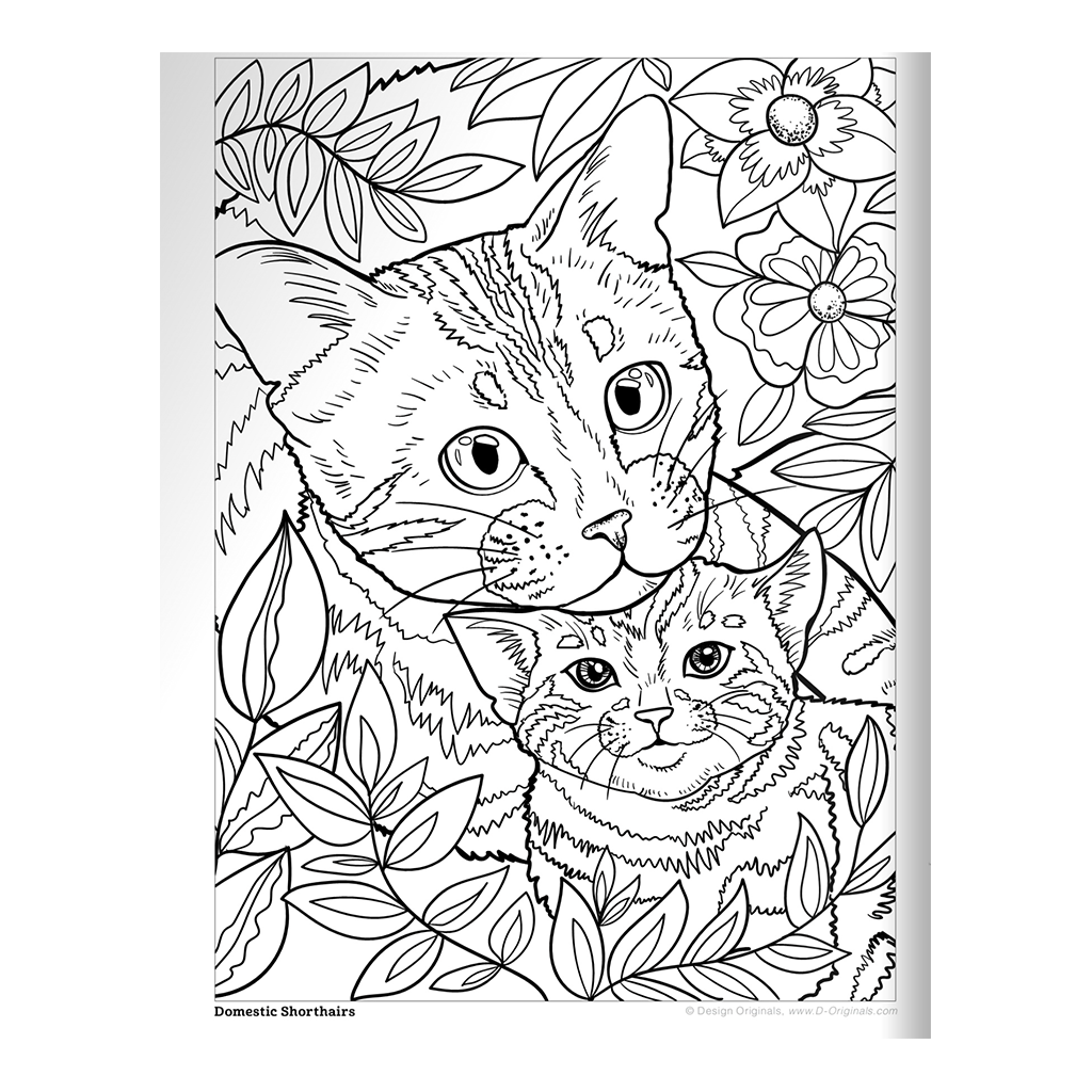 Cats & Kittens Coloring Book