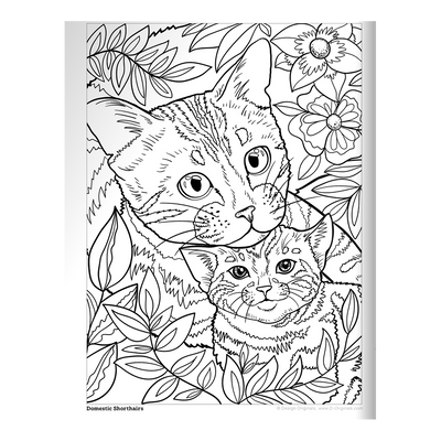 Cats & Kittens Coloring Book