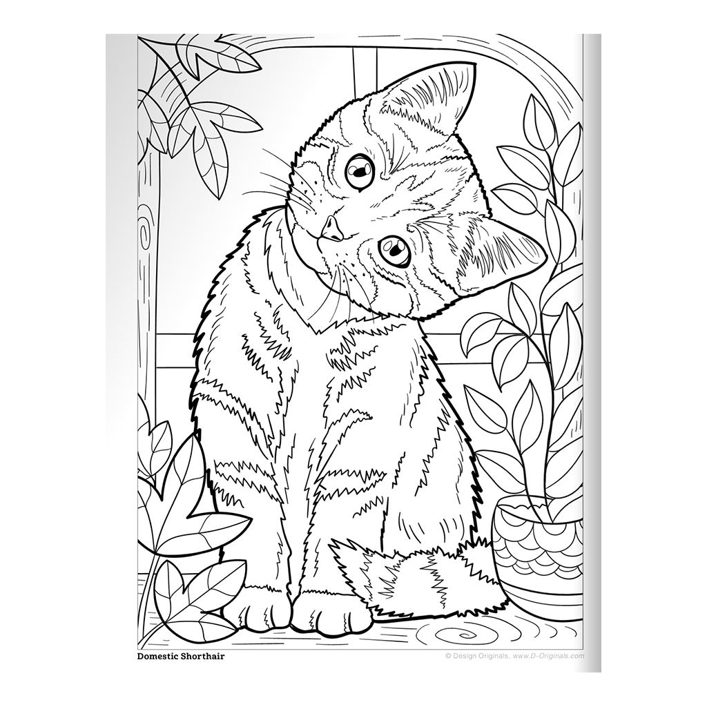 Cats & Kittens Coloring Book