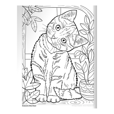 Cats & Kittens Coloring Book