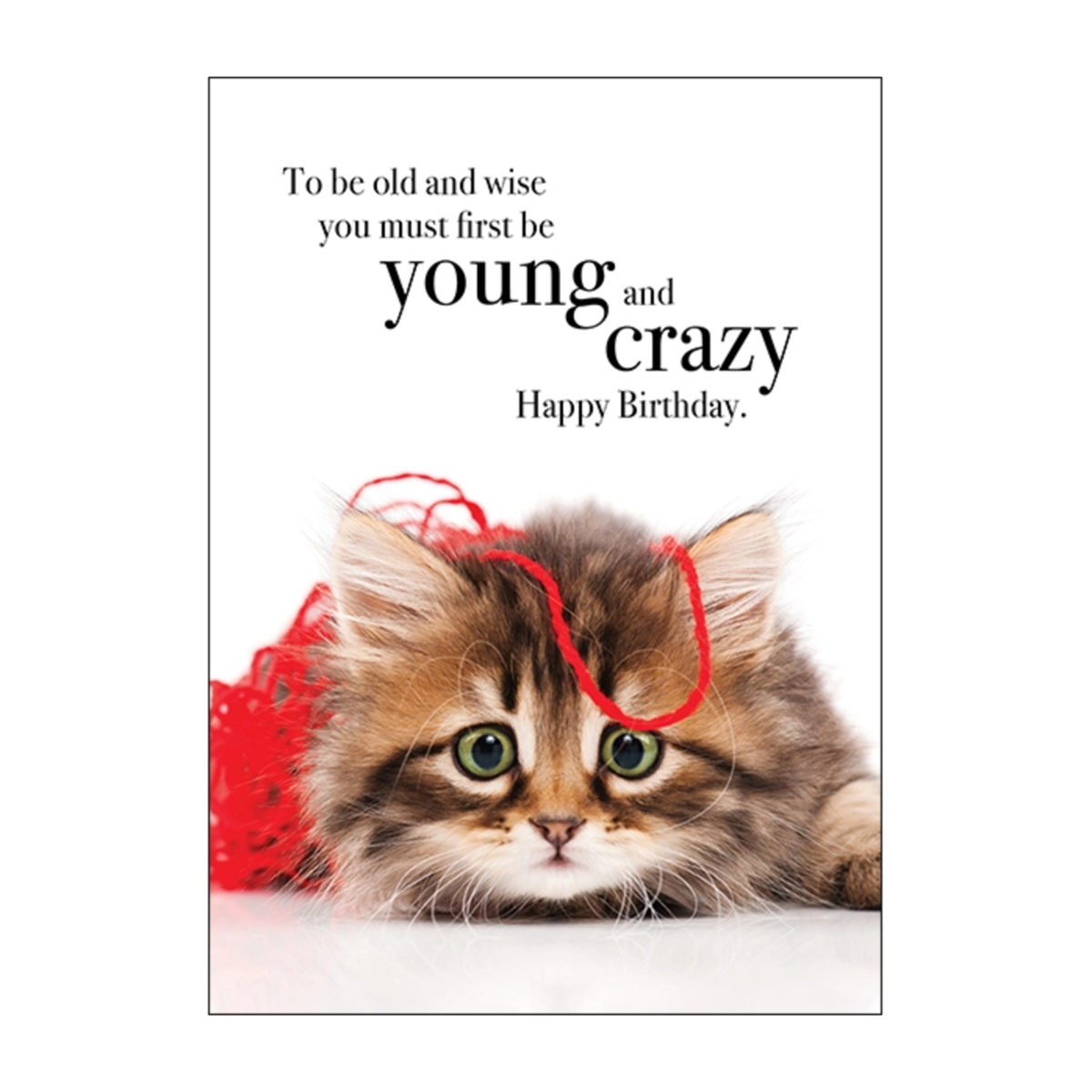 Young and Crazy Animal Birthday Card