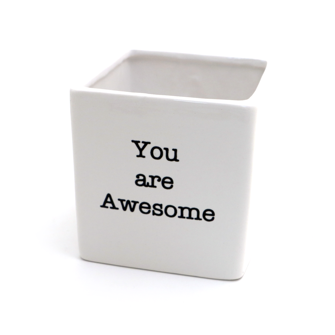 You Are Awesome Planter/Pen Container