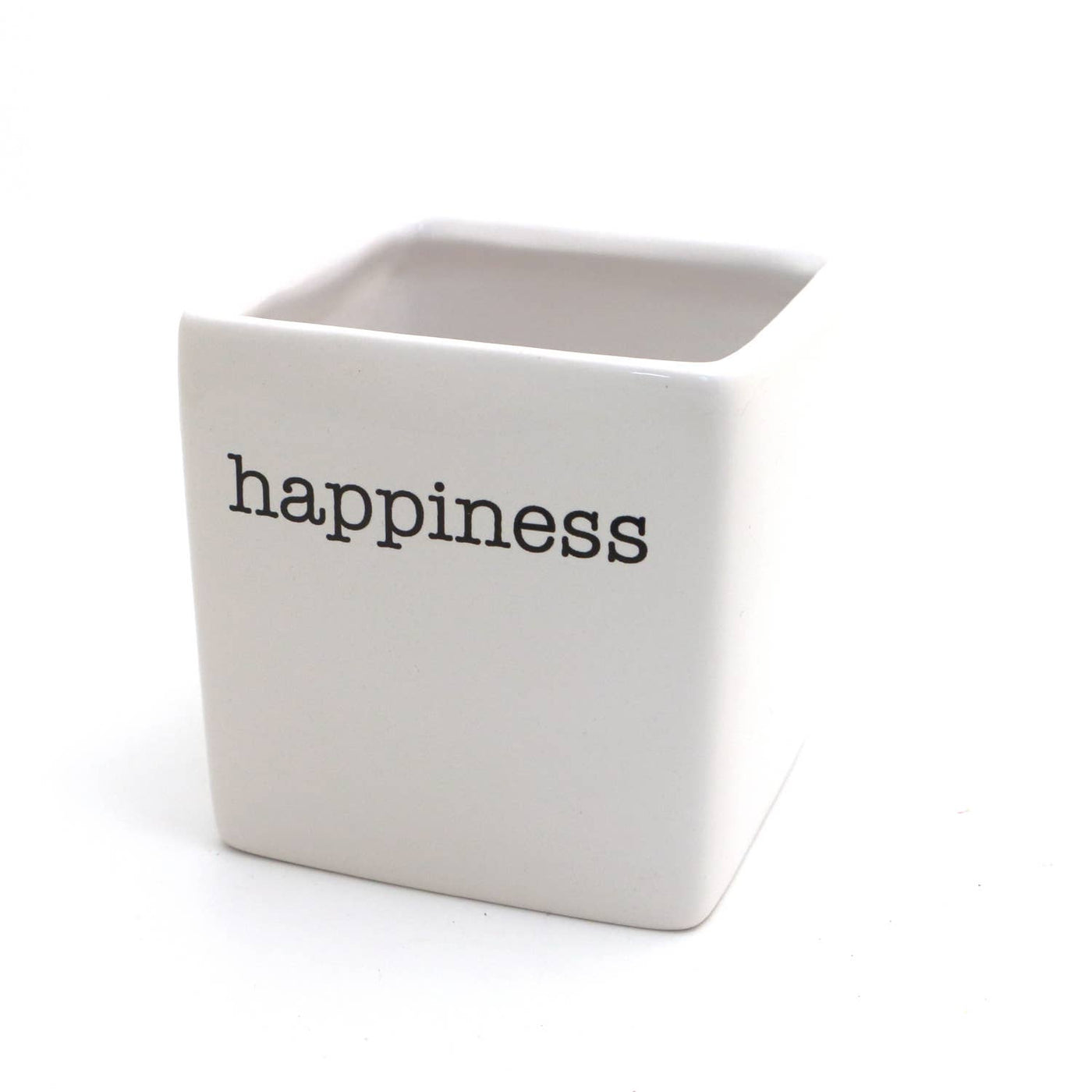 Happiness Planter/Pen Container