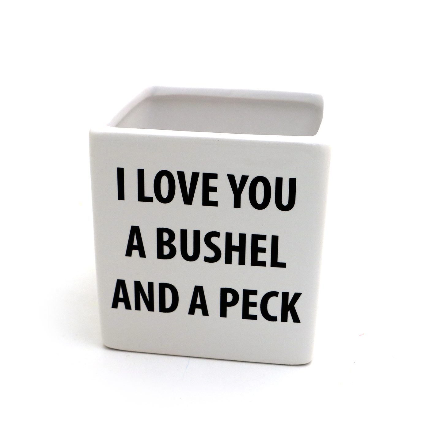 Bushel and a Peck Planter/Pen Container