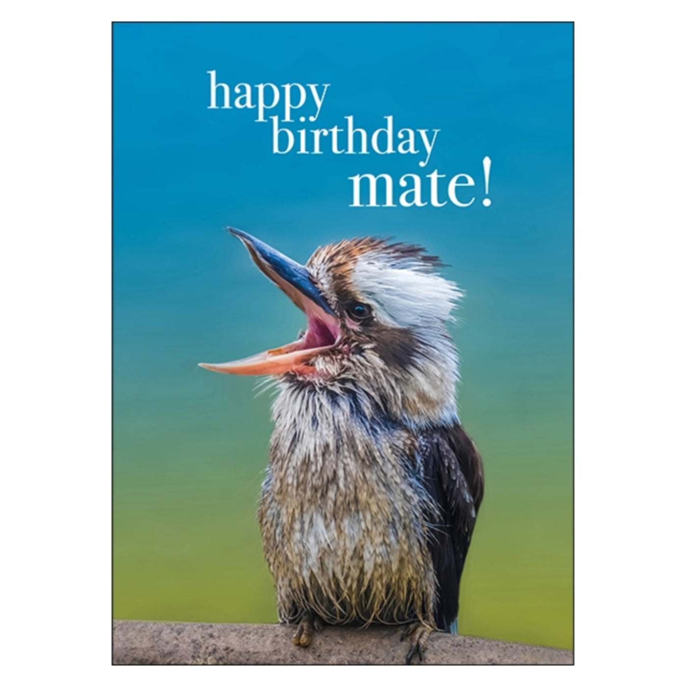 Happy Birthday Mate Greeting Card