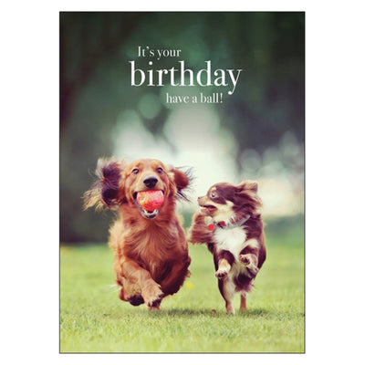 Carte d'anniversaire de chiens heureux