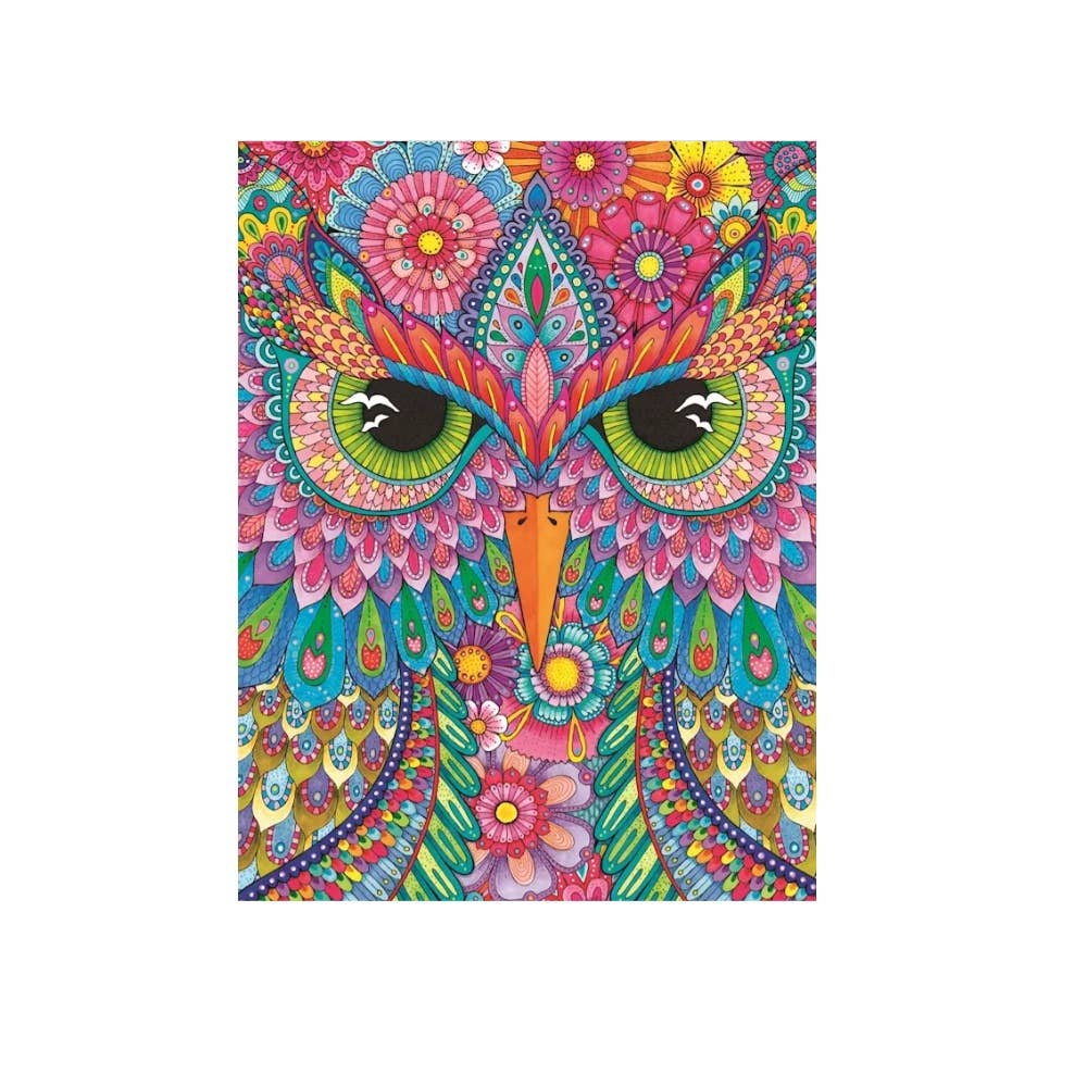 Owl Hardcover Lined Journal